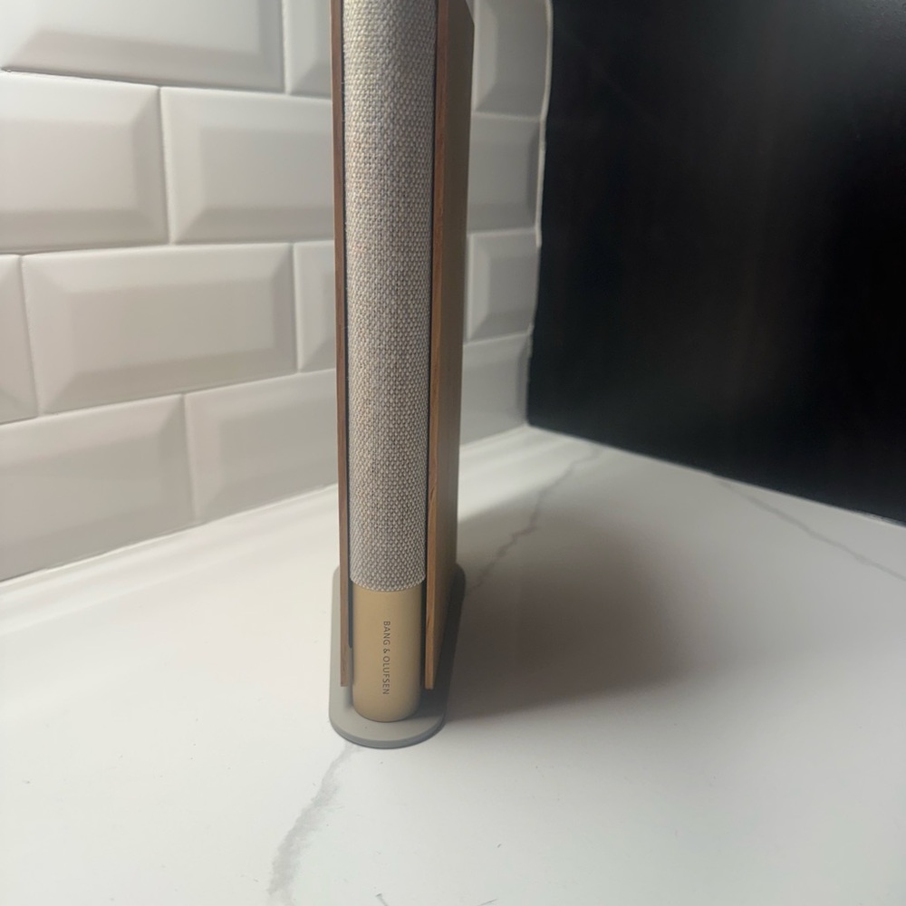 Bang & Olufsen Speaker with Gray and Brown Accents